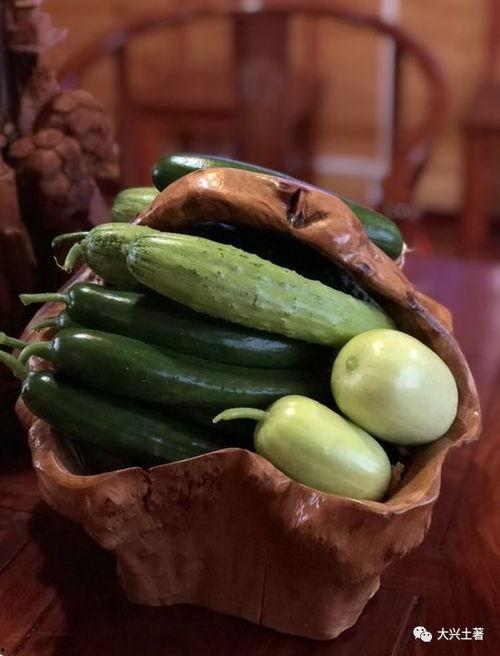 四川吃瓜视频网红最新